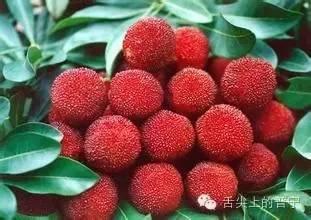 深圳南澳杨梅最新爆料,最新爆料带你尝鲜